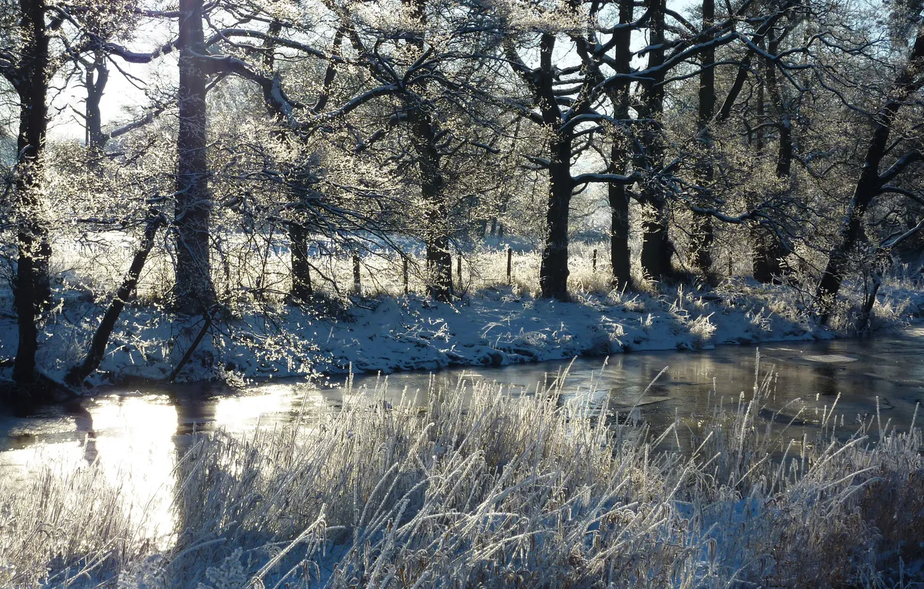 Фото обои зима, трава, снег, деревья, река, забор, солнечно
