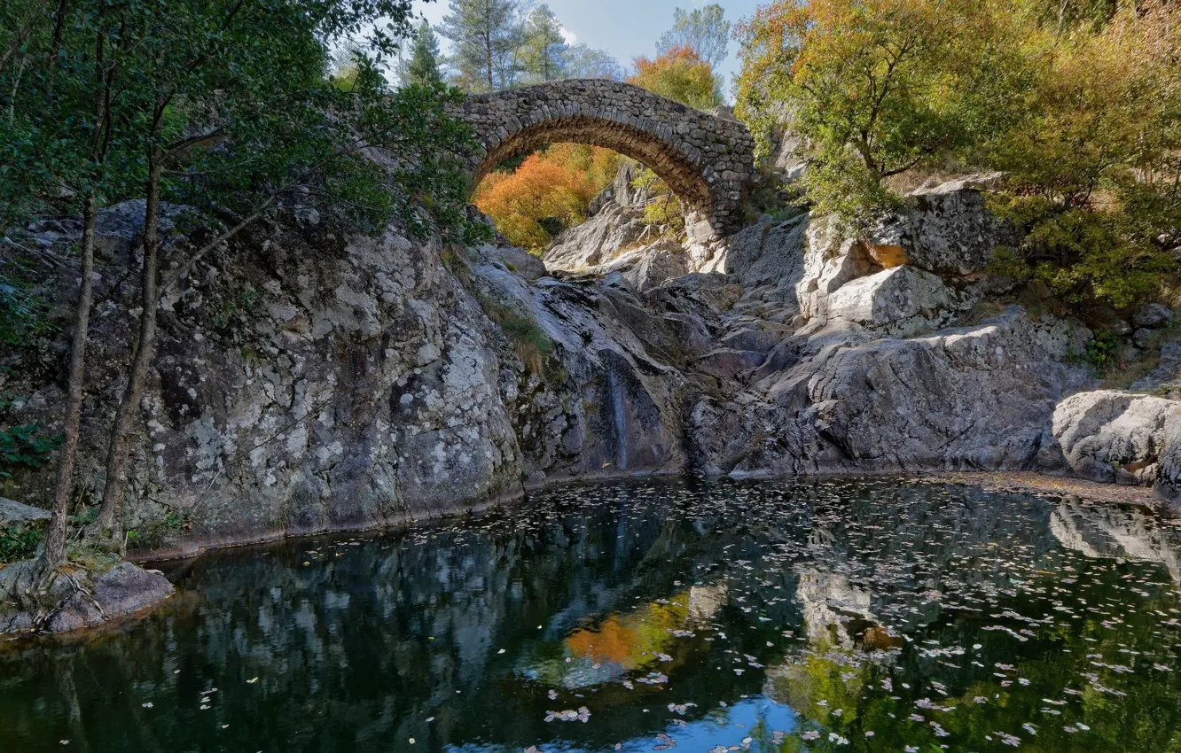 Фото обои осень, пейзаж, мост, природа, озеро, арка