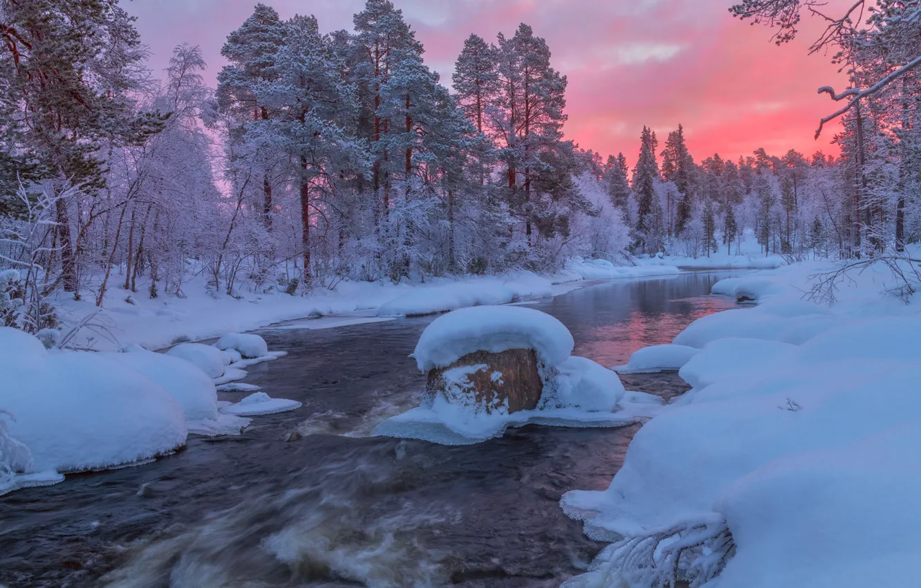 Фото обои зима, лес, снег, река, рассвет, утро, сугробы, Россия