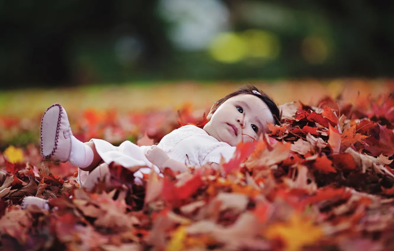 Фото обои осень, листья, настроение, девочка