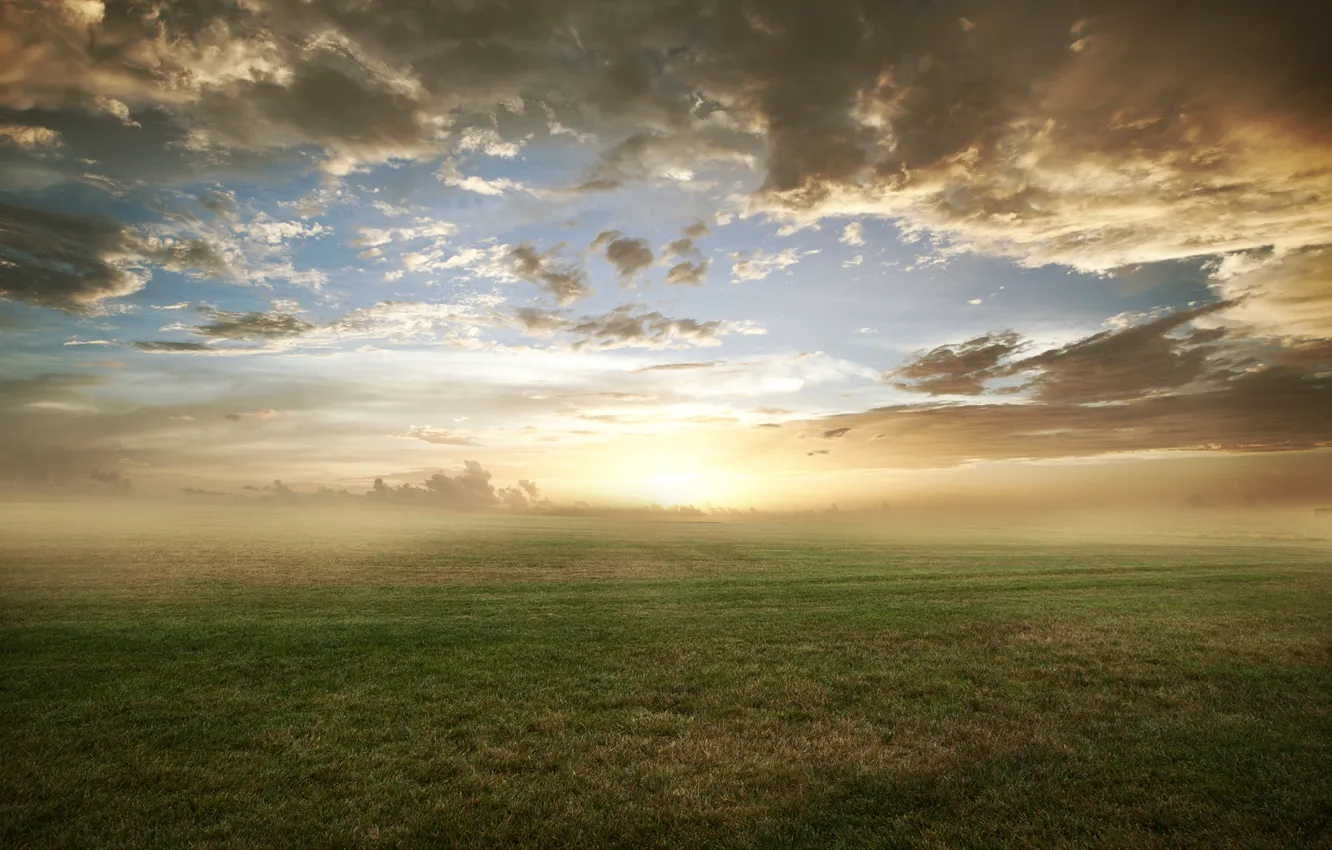 Фото обои поле, трава, облака, природа, туман, газон, утро
