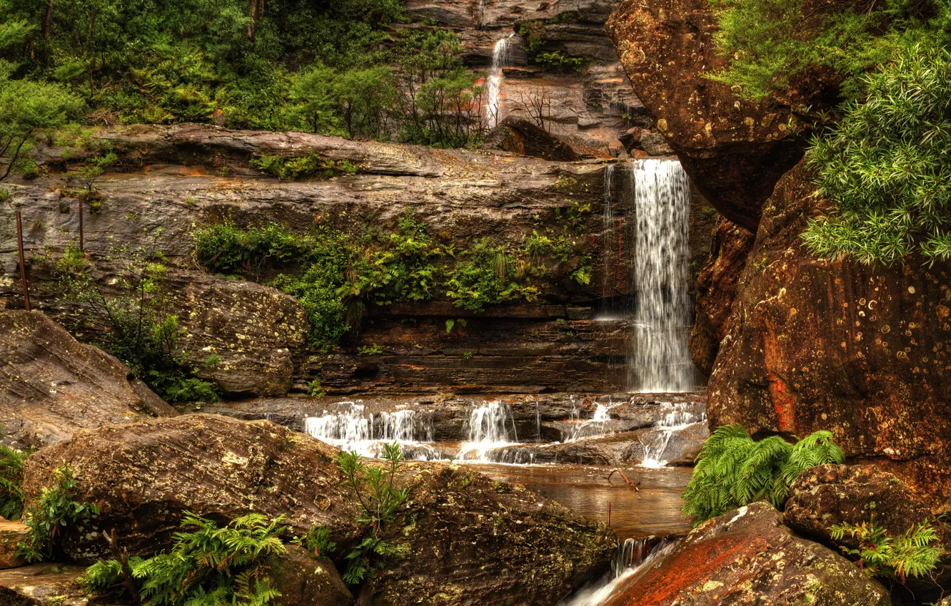 Фото обои камни, водопад, Австралия, кусты, Wentworth Falls