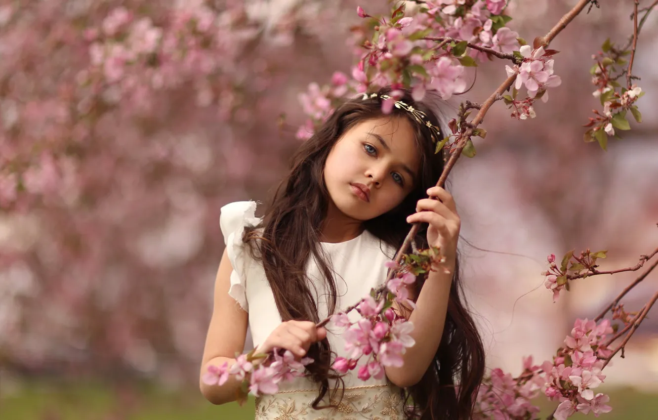 Фото обои ветки, вишня, настроение, весна, девочка, цветение, цветки, боке