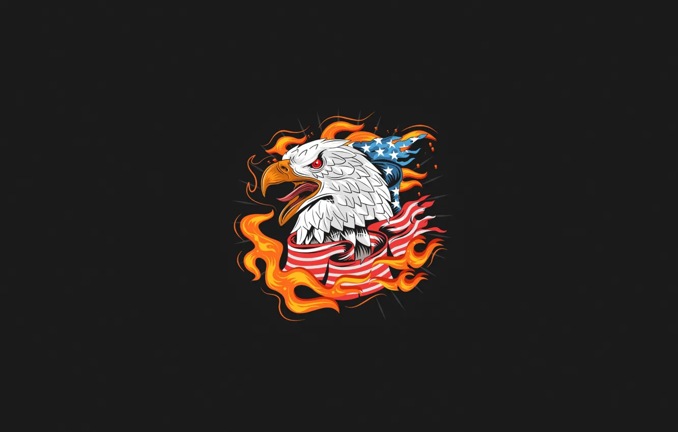 Фото обои Минимализм, Птица, Огонь, Стиль, Флаг, Орел, Фон, USA