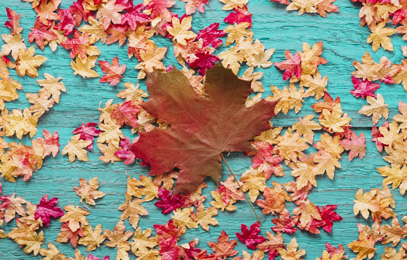 Фото обои осень, листья, фон, дерево, colorful, wood, background, autumn