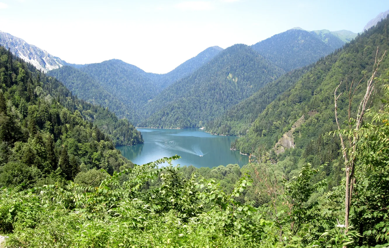 Фото обои зелень, лето, вода, солнце, деревья, природа, озера, Абхазия