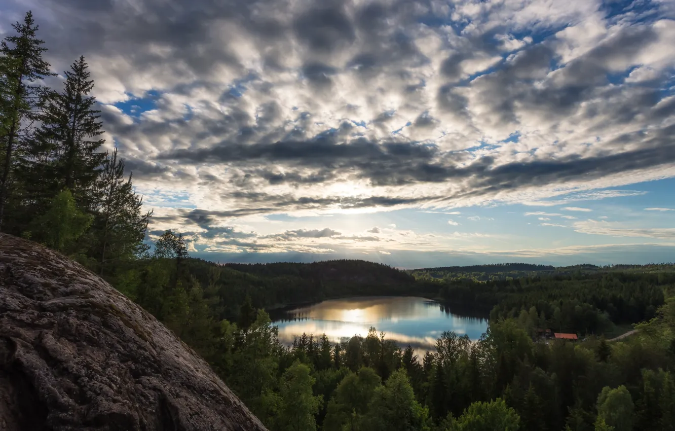 Фото обои лес, небо, облака, озеро, Швеция