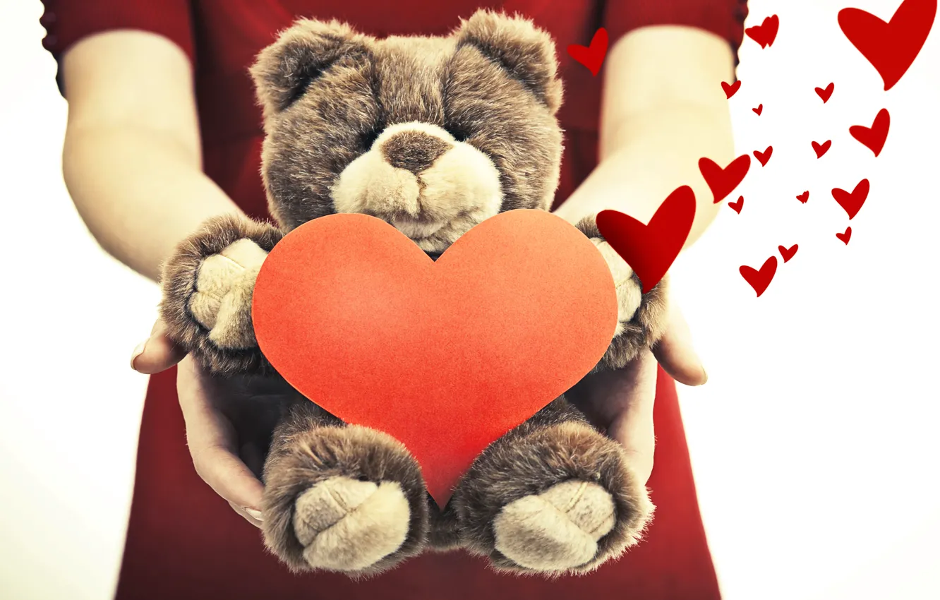 Фото обои девушка, романтика, игрушка, сердце, мишка, toy, bear, heart