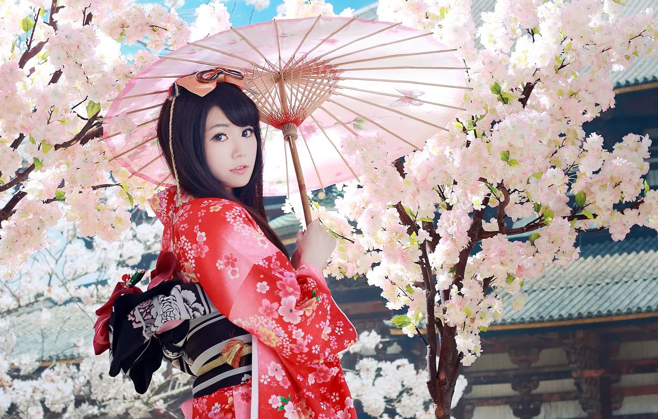 Фото обои зонтик, сакура, гейша, кимоно, азиатка