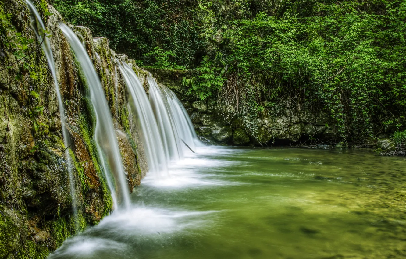 Фото обои лес, водопад, Италия, Veneto, Mondrago