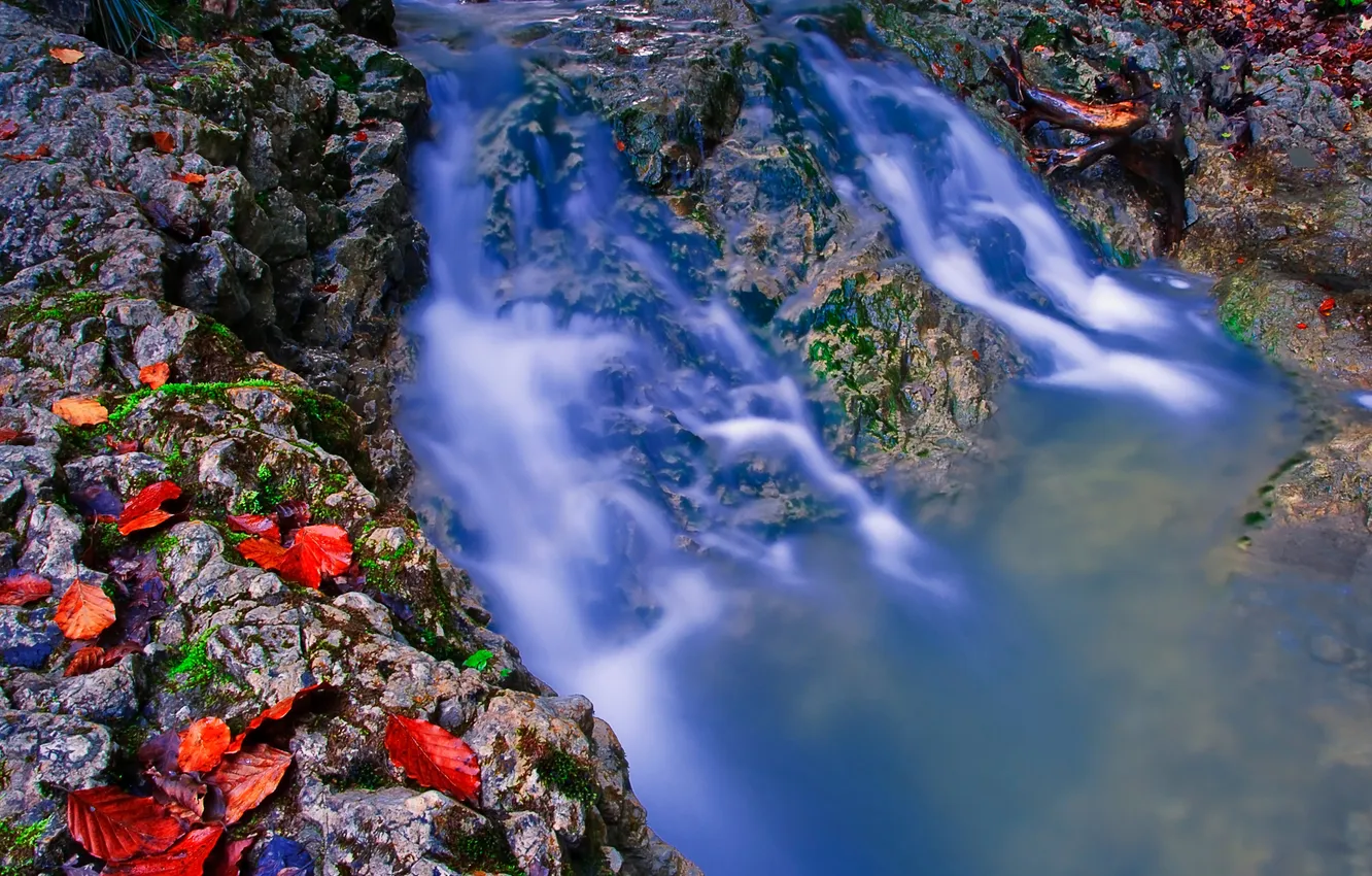 Фото обои листья, река, камни, поток