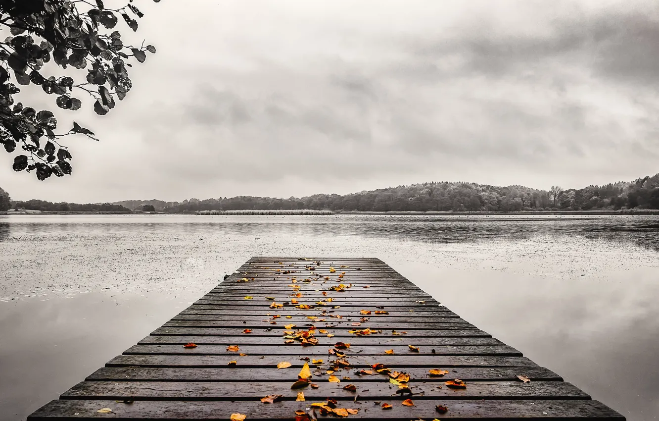 Фото обои осень, листья, мост, озеро
