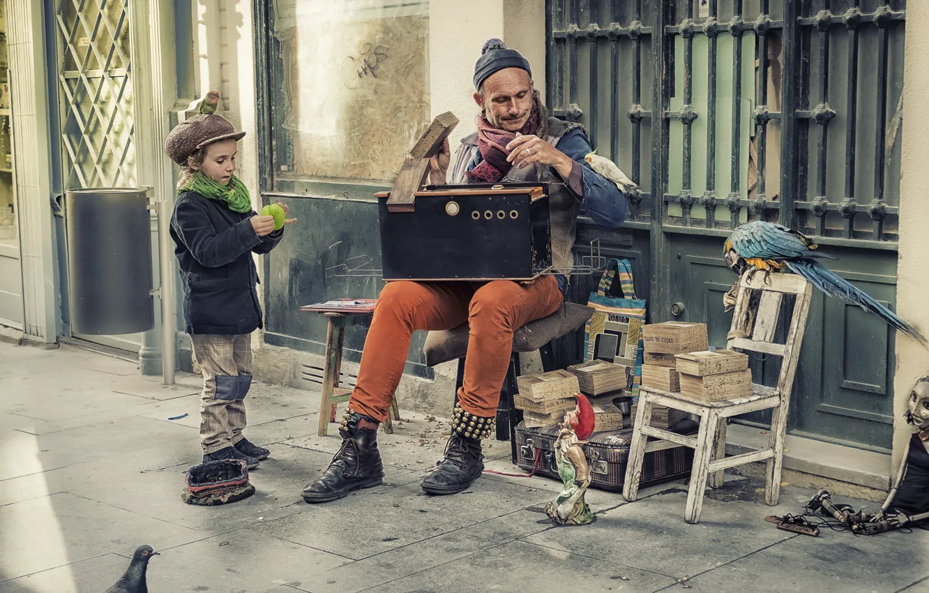 Фото обои город, птица, улица, человек, кукла