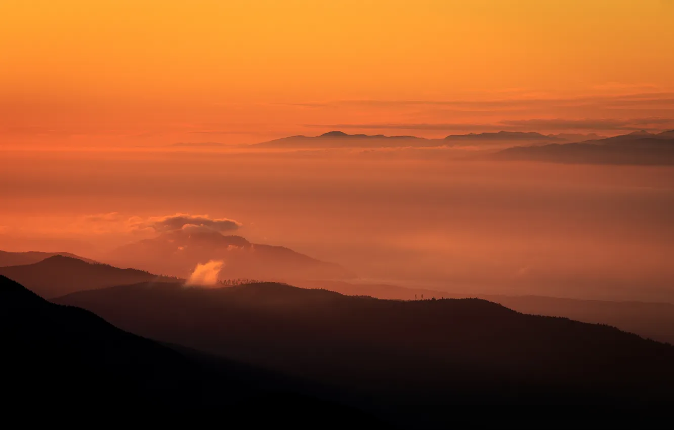 Фото обои горы, природа, рассвет, панорама, Washington, Olympic National Forest, Blue Mountain