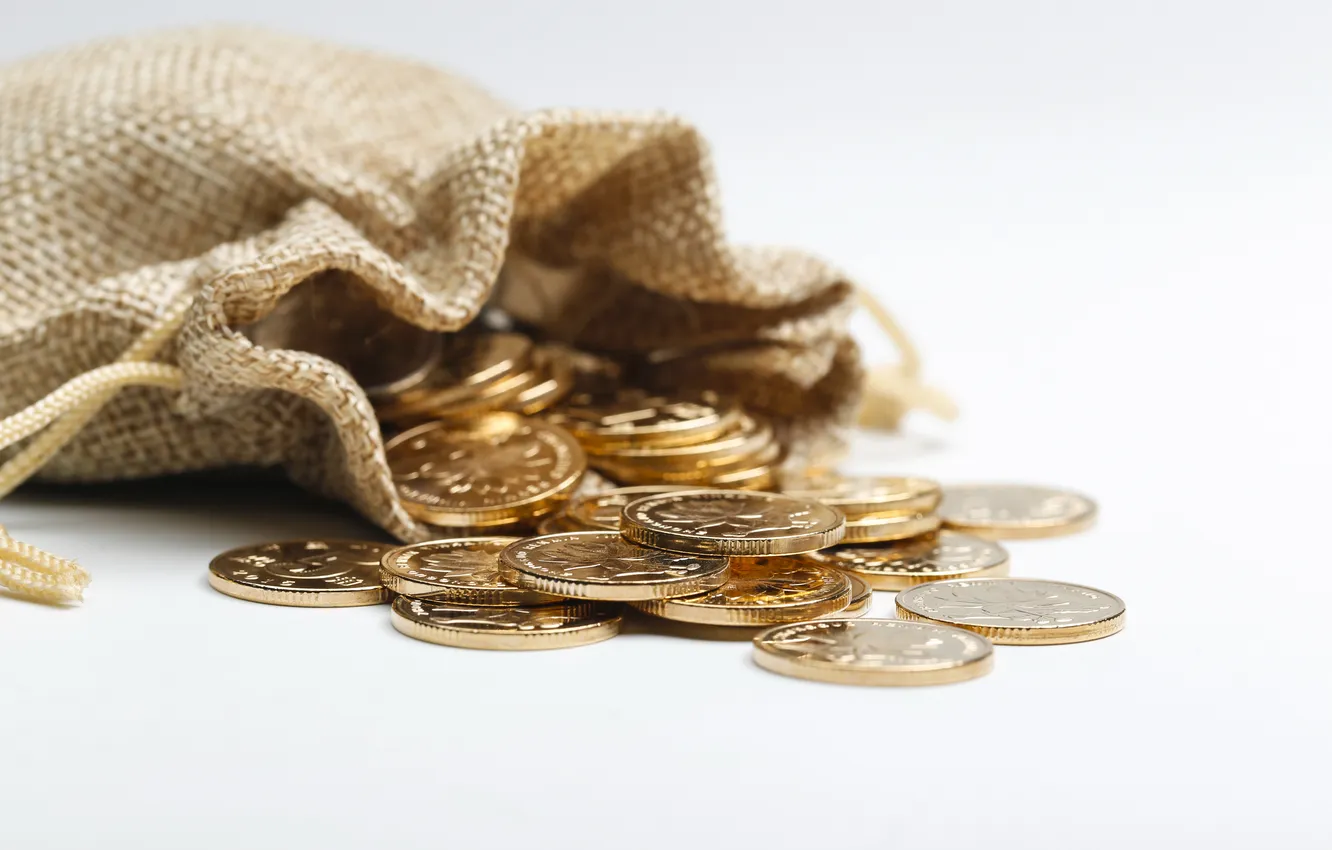 Фото обои golden, bag, coins, cloth, rmb