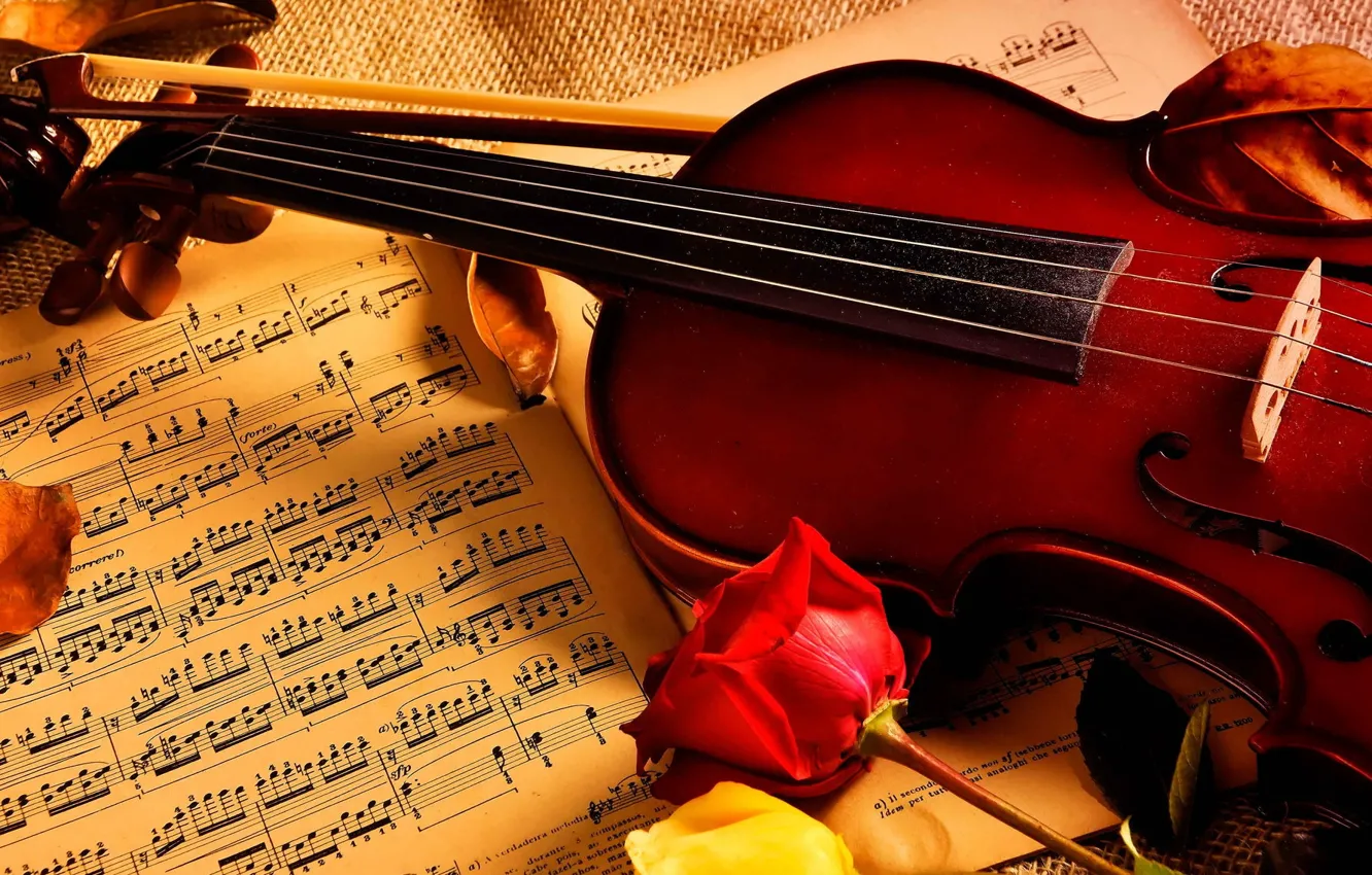 Фото обои ноты, музыка, скрипка, розы
