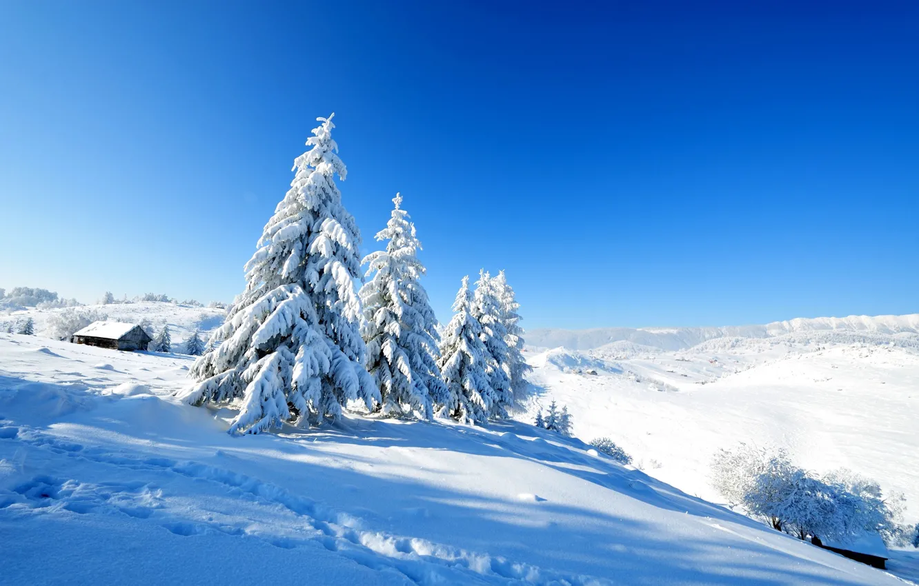 Фото обои Зима, Снег, Холмы, Ультрамарин, Сугробы, Хата, Заснеженные Ели