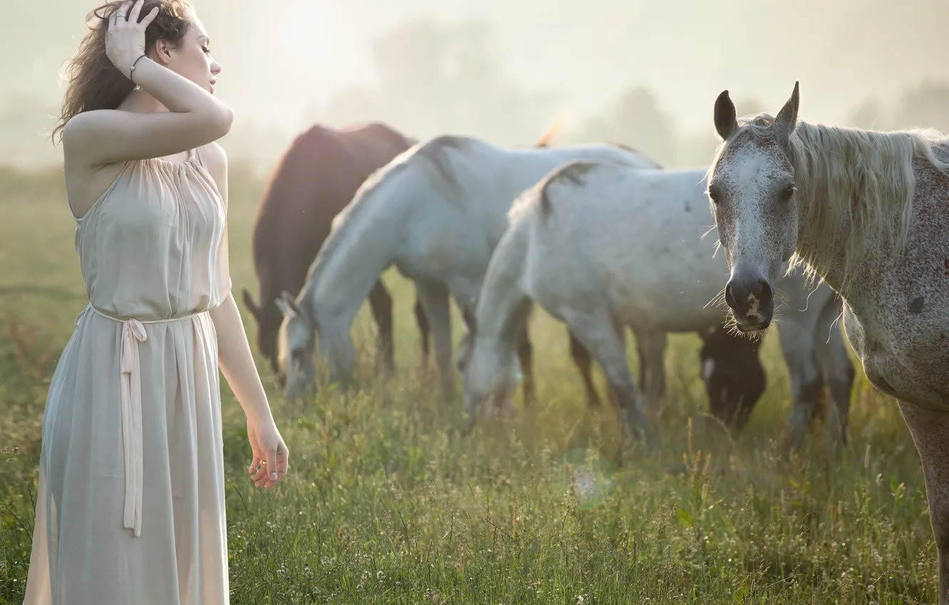 Фото обои трава, девушка, туман, утро, лошади, профиль, браслет, шатенка
