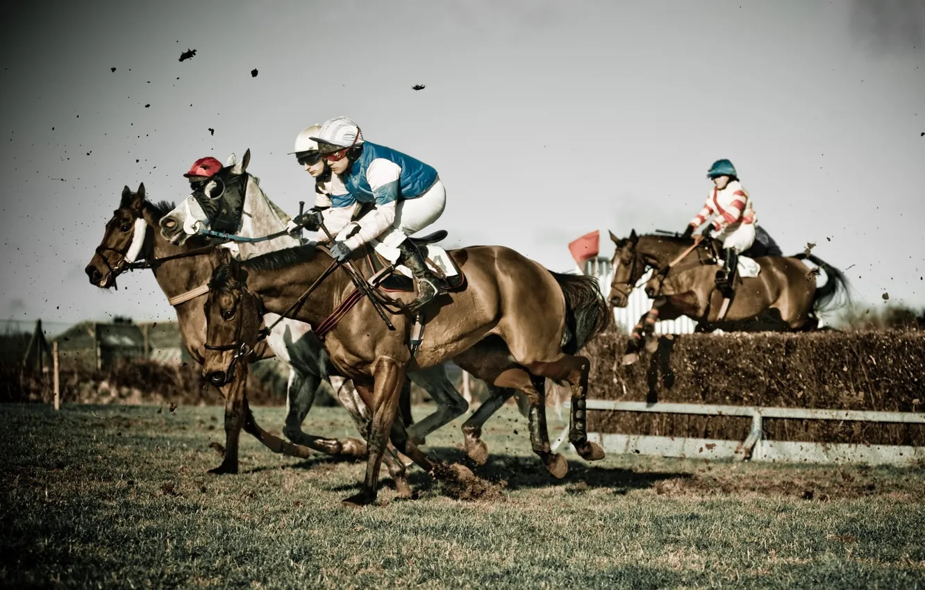 Фото обои horses, mud, jockey, obstacle, horse race