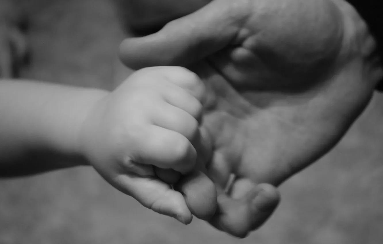 Фото обои дети, ребенок, черно-белая, руки, отец, младенец