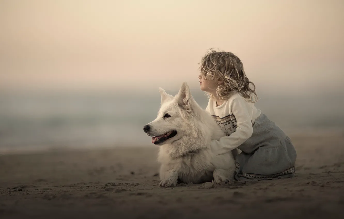 Фото обои песок, собака, девочка, друзья, боке, Белая швейцарская овчарка