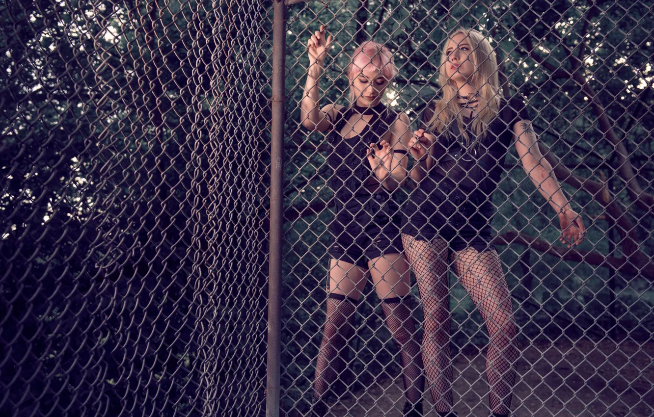 Фото обои девушки, сетка, забор