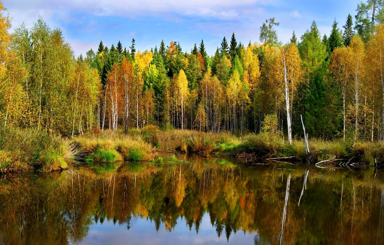 Фото обои осень, лес, небо, деревья, озеро, река