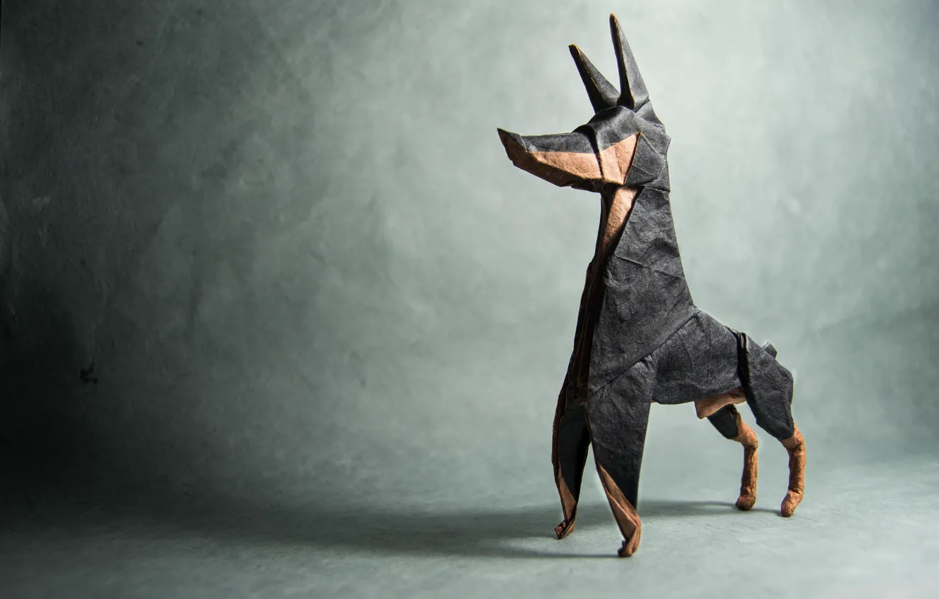 Фото обои серый, тень, собака, оригами, dog, доберман, origami, shadow
