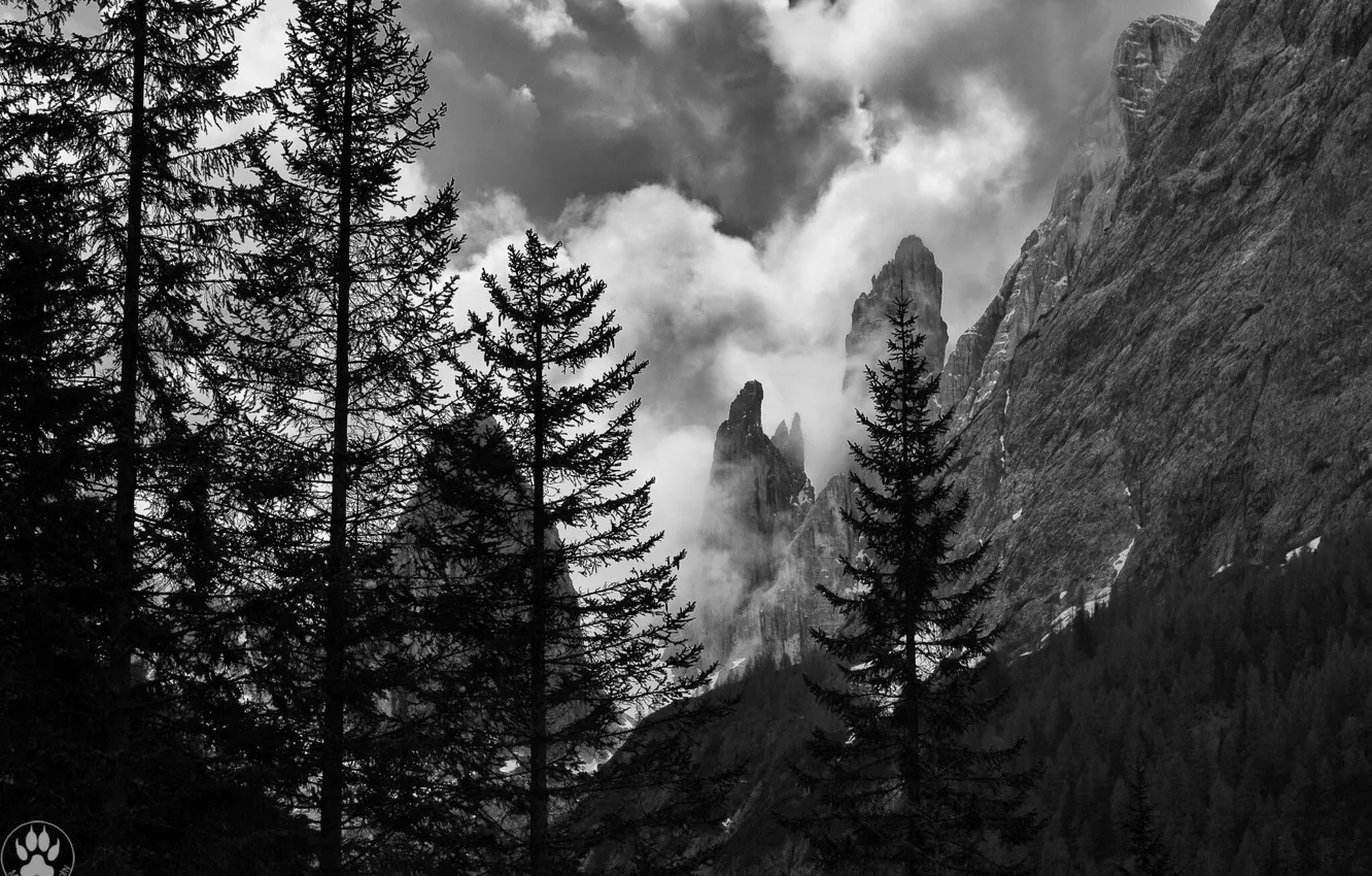 Фото обои небо, облака, деревья, горы, природа, скалы, черно-белое, монохром