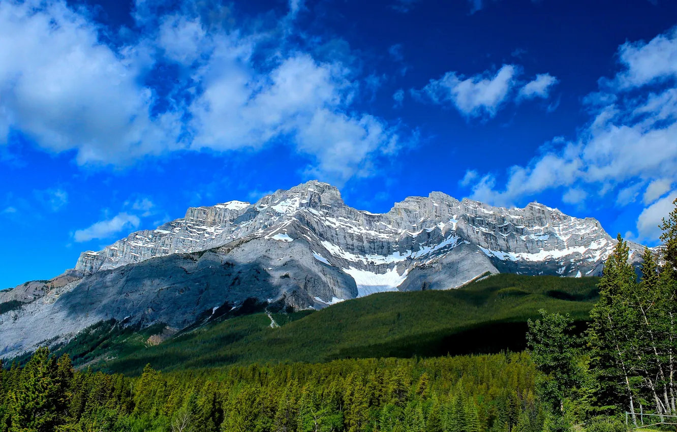 Фото обои лес, горы, Канада, Альберта, Banff National Park, Alberta, Canada, Банф