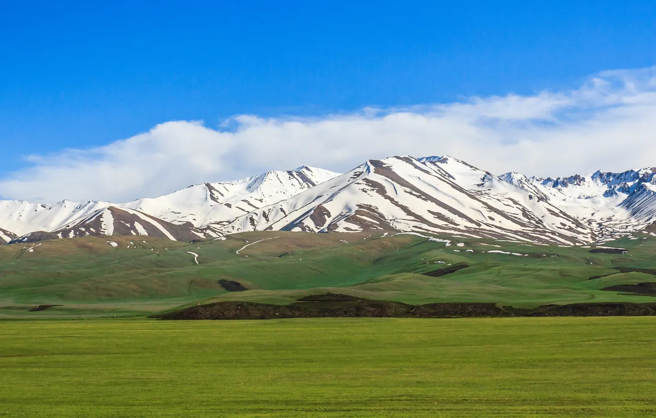 Фото обои поле, небо, трава, облака, снег, горы, зеленый, Кыргызстан