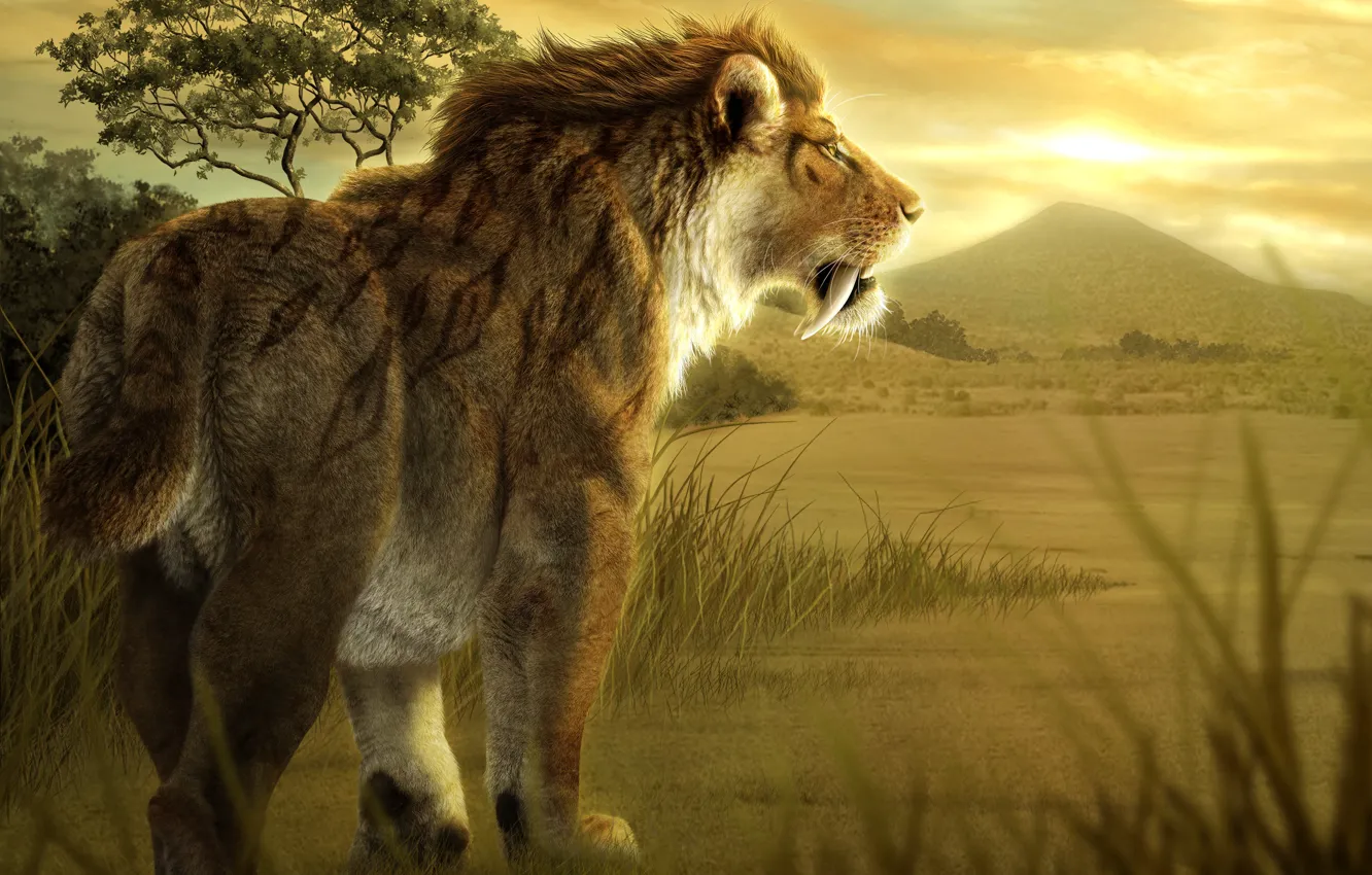 Фото обои лев, саблезубый, доисторическое животное
