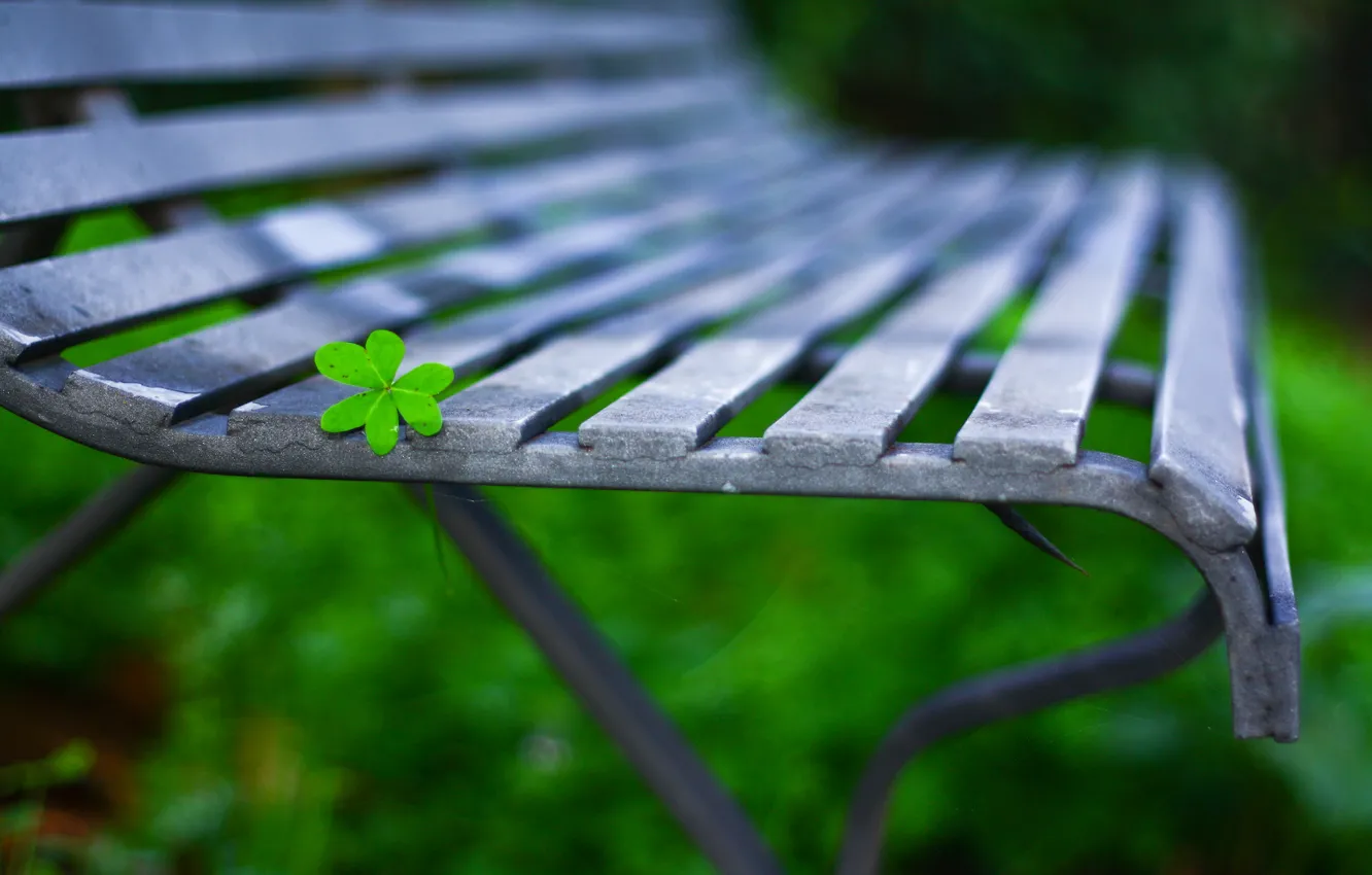 Фото обои макро, скамейка, фон, widescreen, обои, листик, лавка, wallpaper