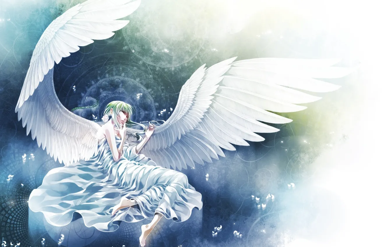 Фото обои круги, крылья, ангел, лепестки, лежит, белые, косы, Angel