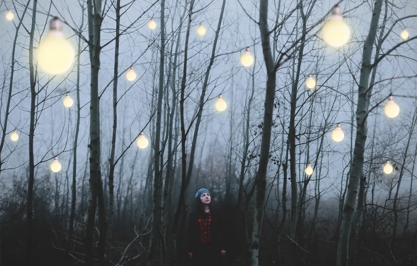 Фото обои лес, девушка, свет, лампы