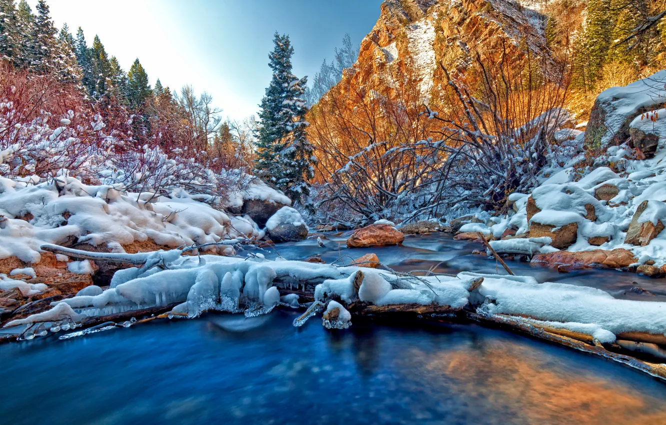 Фото обои зима, лес, небо, снег, деревья, горы, река, камни