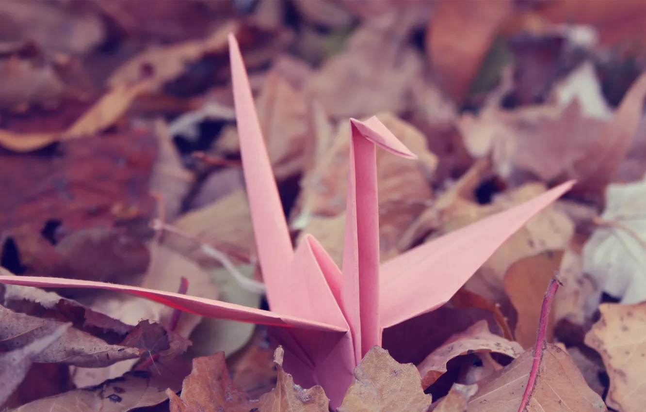 Фото обои журавлик, оригами, pink, autumn