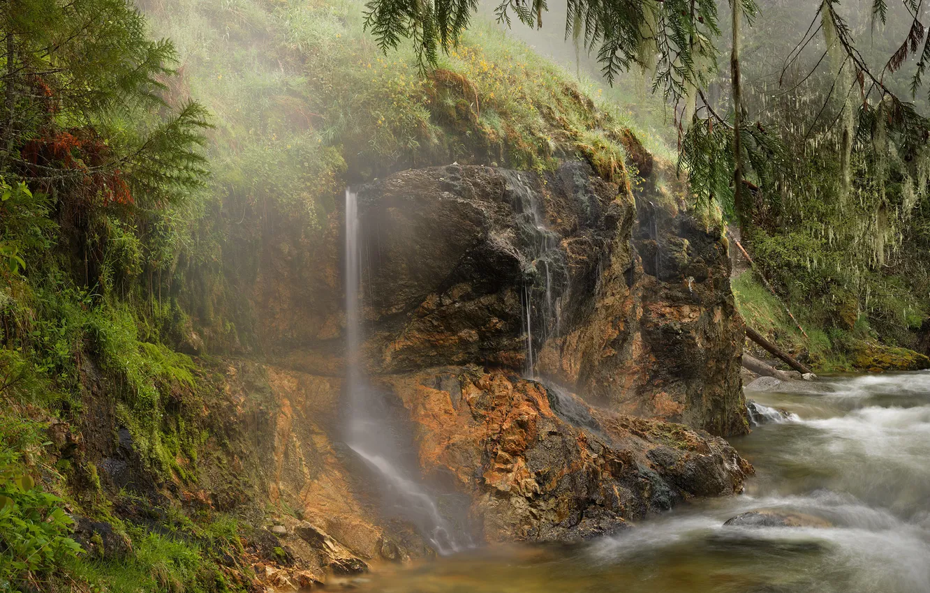 Фото обои лес, река, водопад