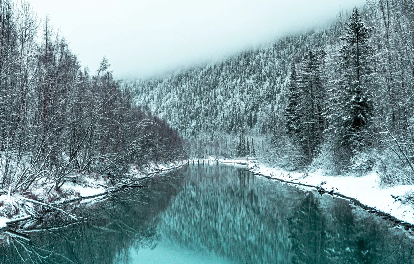 Фото обои зима, лес, снег, пейзаж, природа, туман, река