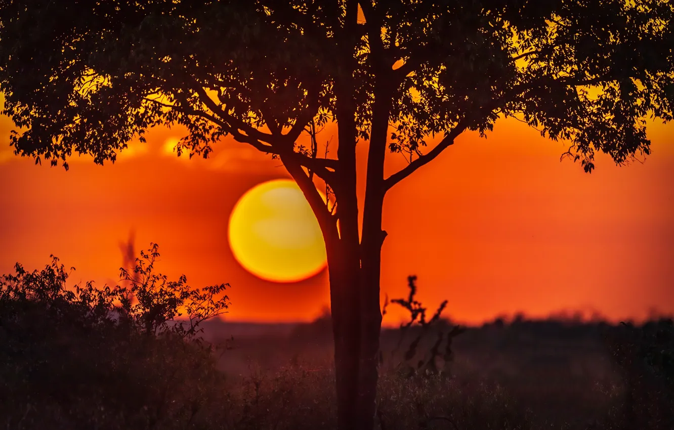 Фото обои закат, Солнце, Sun, sunset, Jeffrey C. Sink