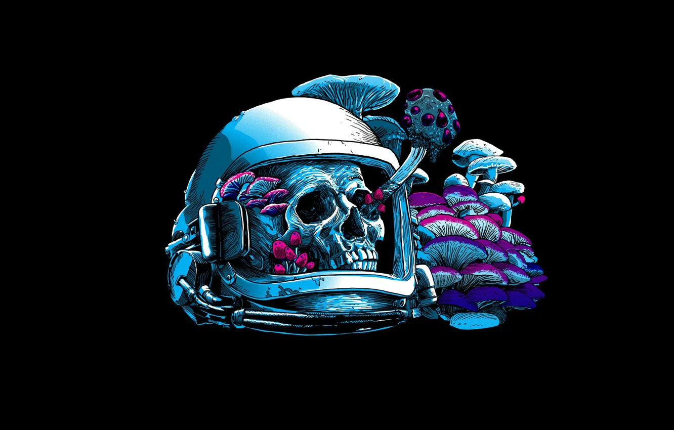 Фото обои грибы, череп, шлем