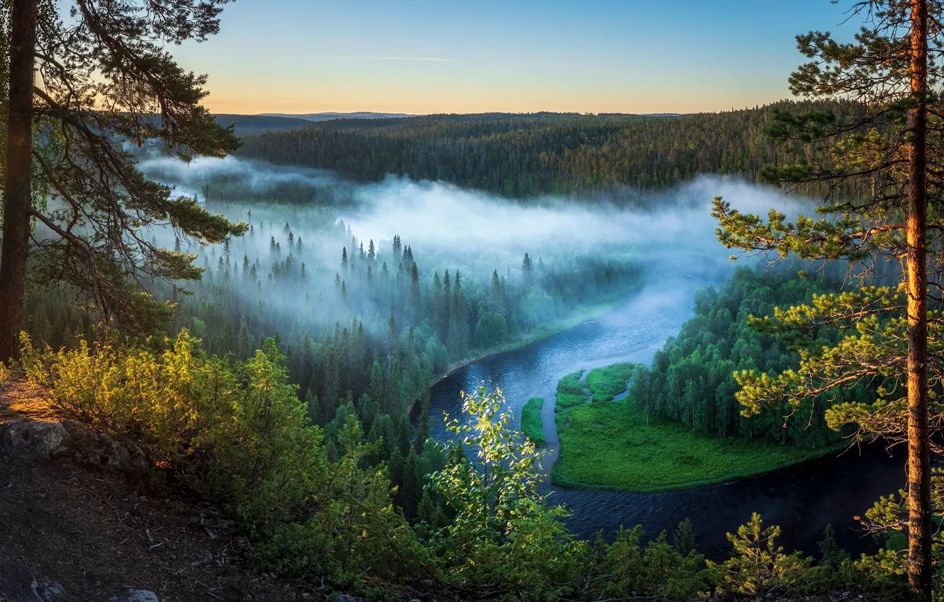 Фото обои лес, деревья, туман, река, вид, высота, Финляндия, Kuusamo