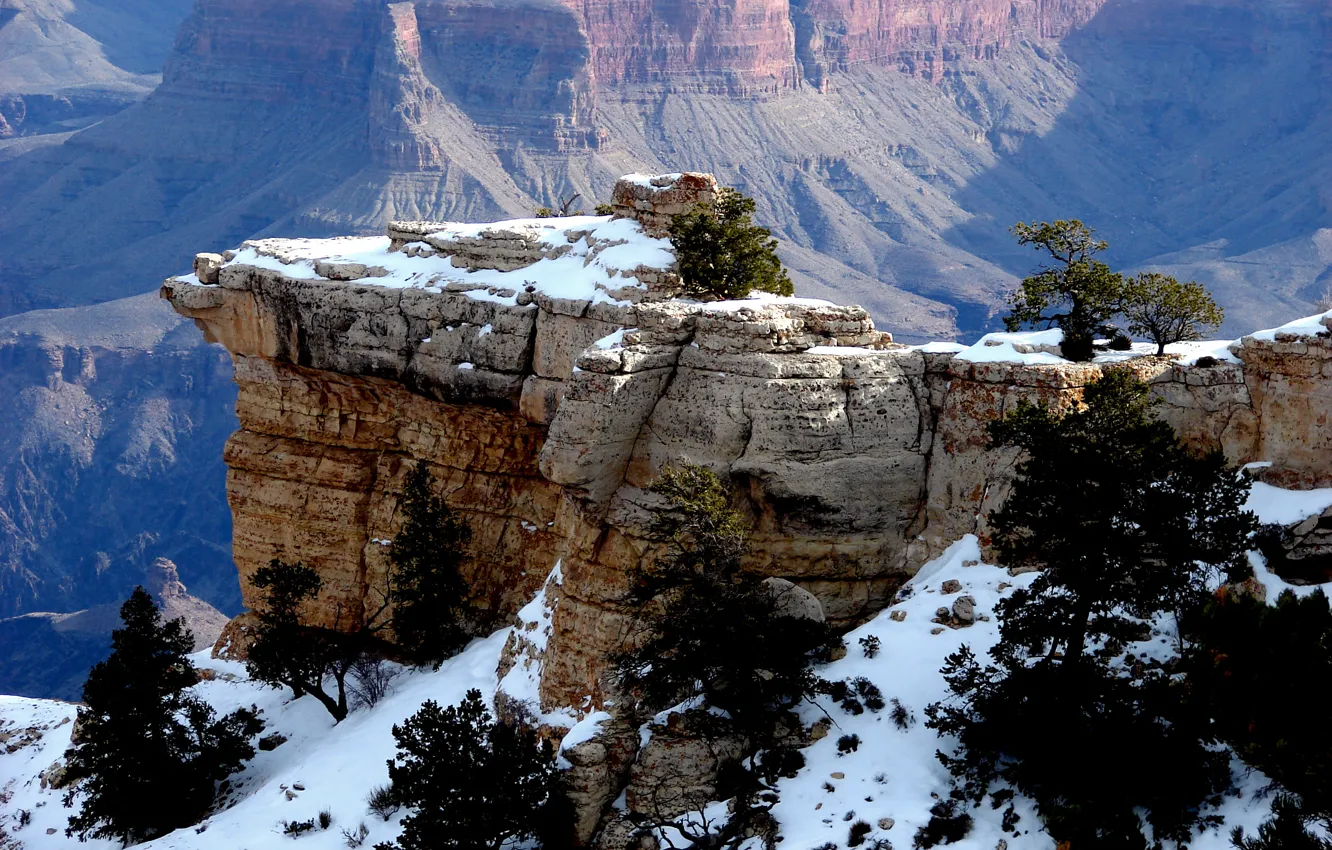 Фото обои снег, деревья, горы, скалы, ущелье