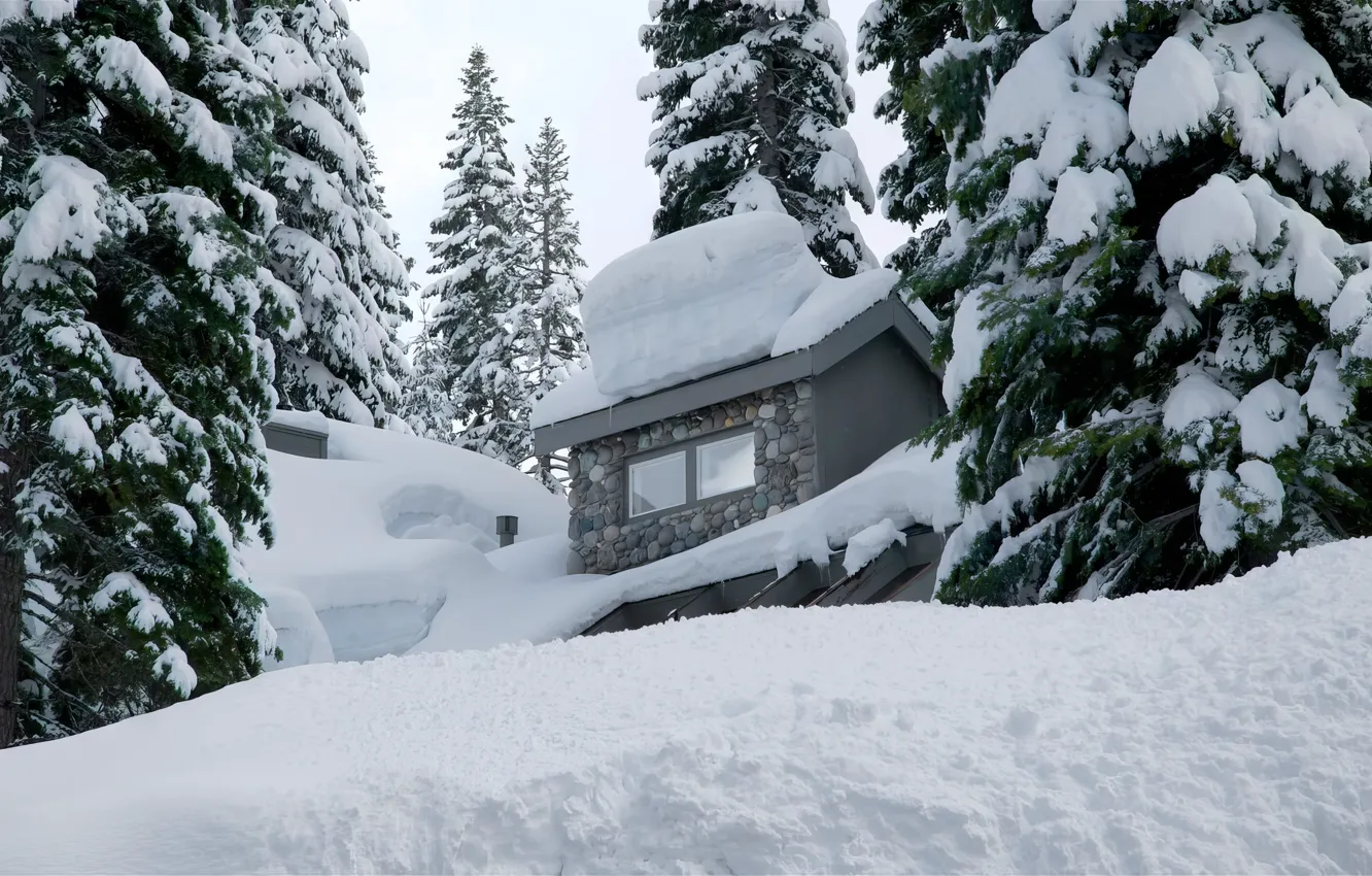 Фото обои Природа, Nature, Winter house, Снежный лес, Зимний домик, Snowy forest