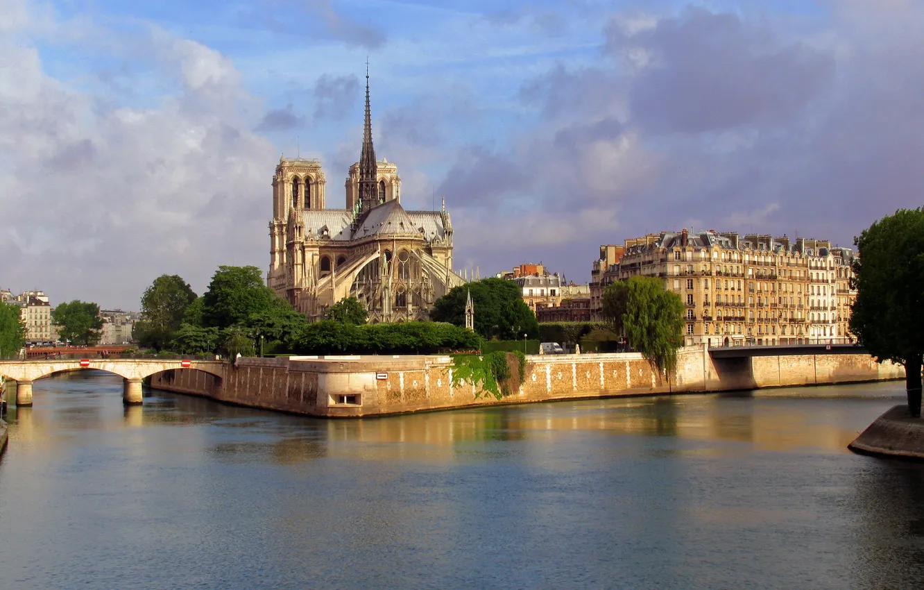 Фото обои река, Франция, дома, Собор, Paris, мосты, France, архитектура.