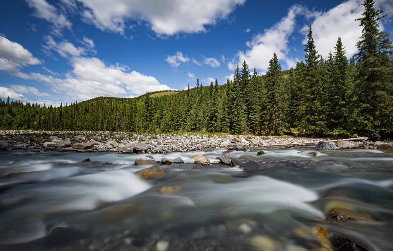 Фото обои лес, небо, вода, облака, горы, река, синева, камни