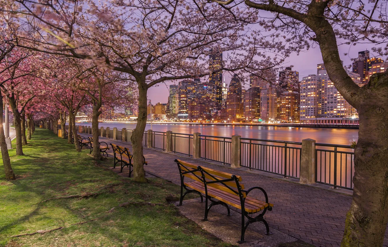 Фото обои деревья, пролив, река, здания, дома, Нью-Йорк, ночной город, Манхэттен