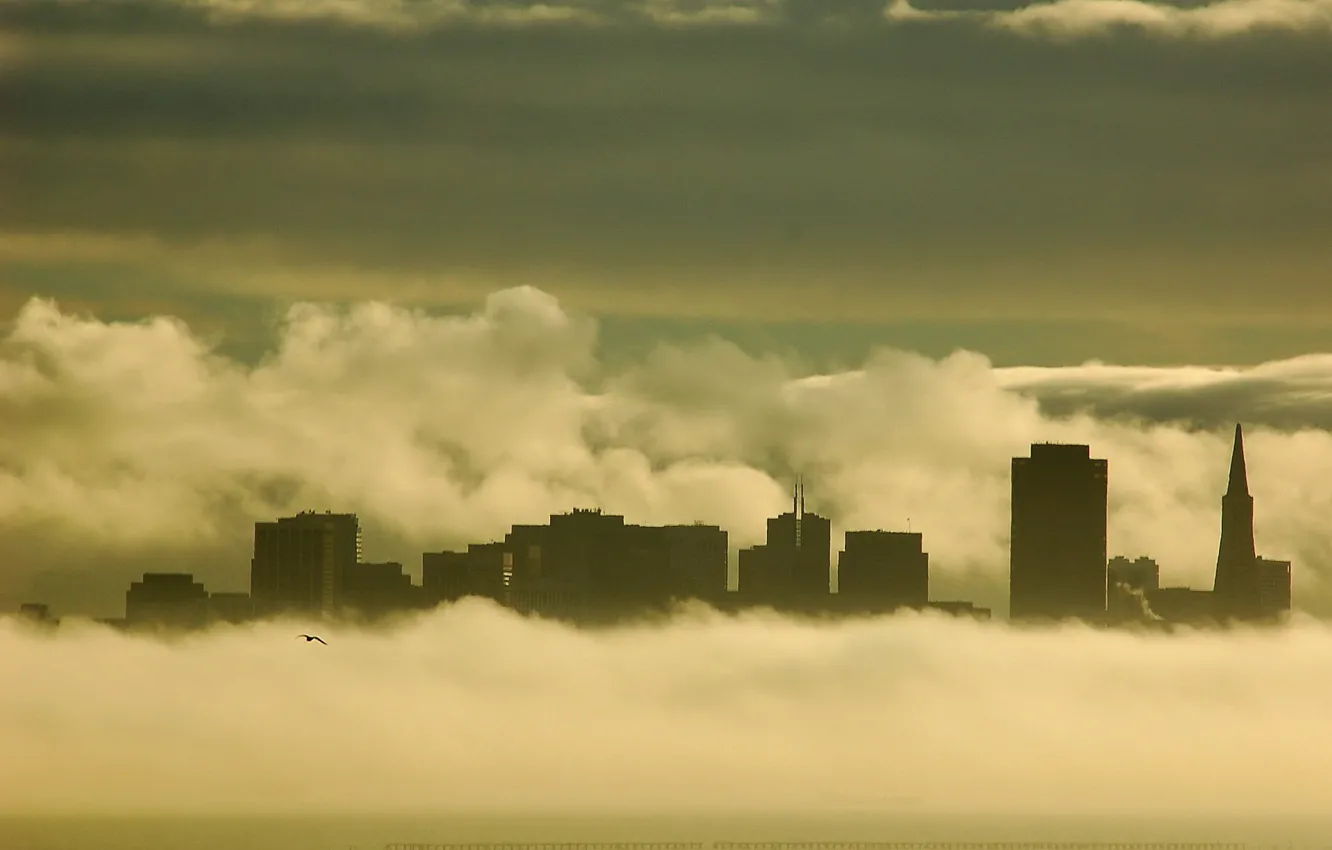 Фото обои здания, Туман, чайка