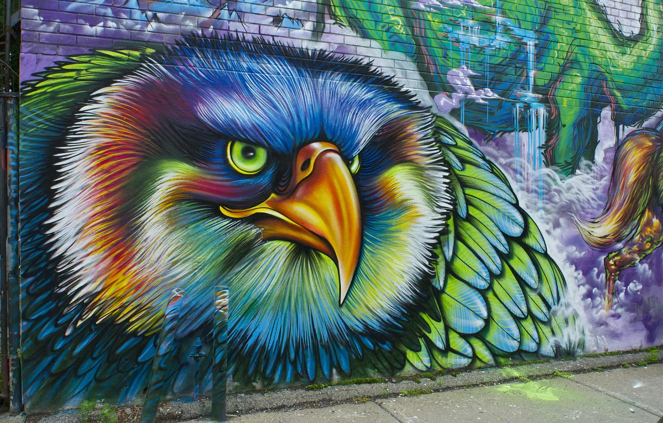 Фото обои стена, птица, граффитти