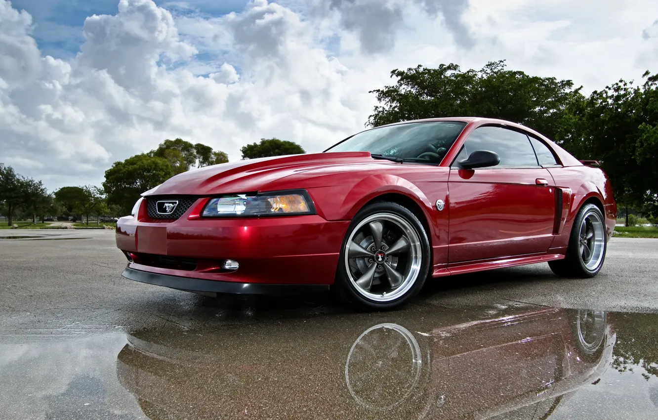 Фото обои Mustang, Ford, 2004